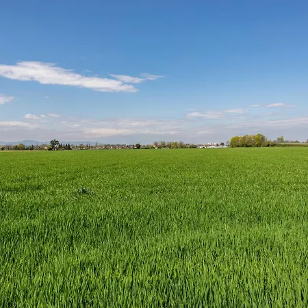 Haus Castellbergblick Mit Balkon Apartament