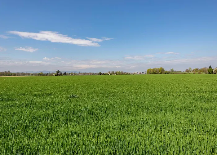 Haus Castellbergblick Mit Balkon شقة